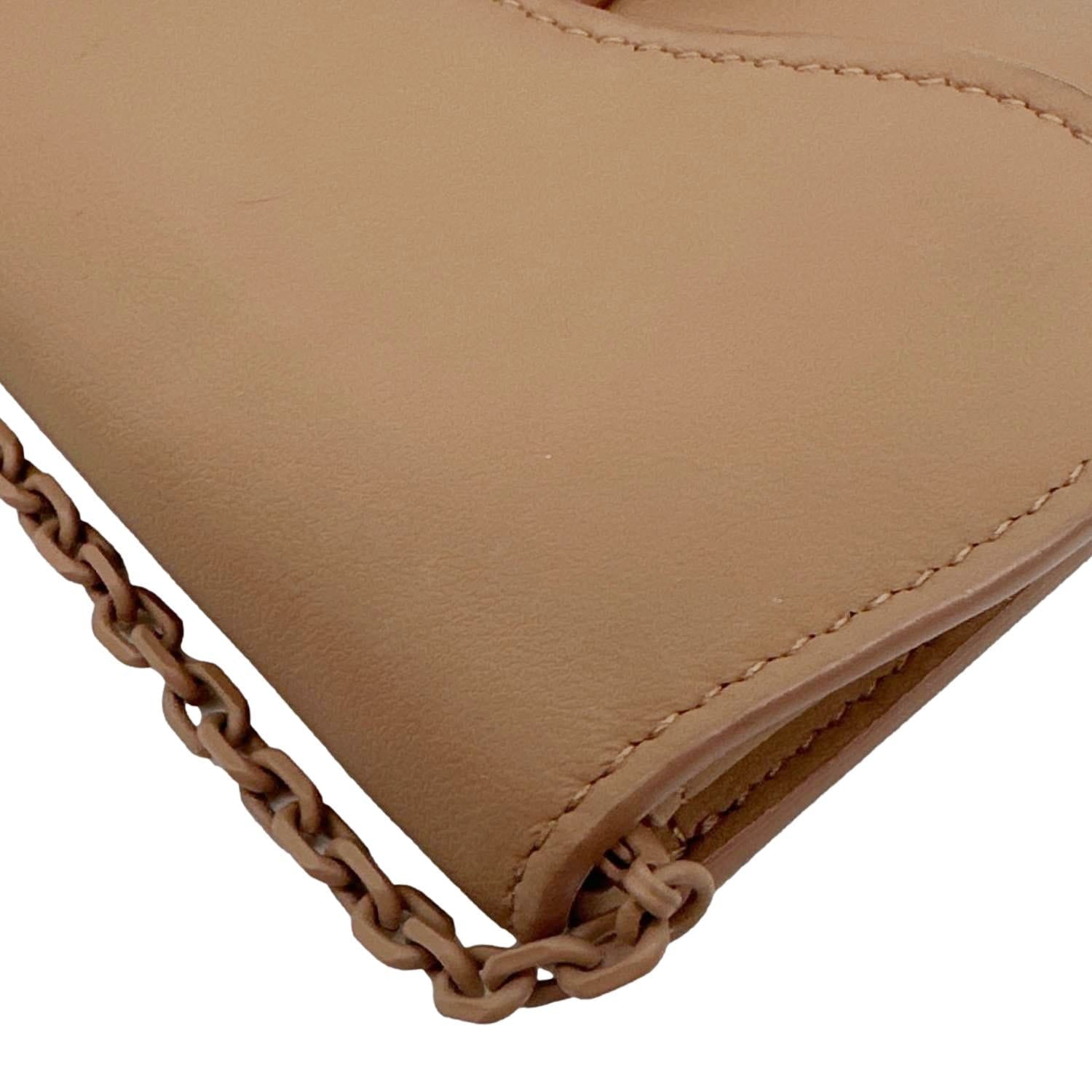 CHRISTIAN DIOR Nano Saddle Ultra Matte Calfskin Leather Chain Pouch Pink