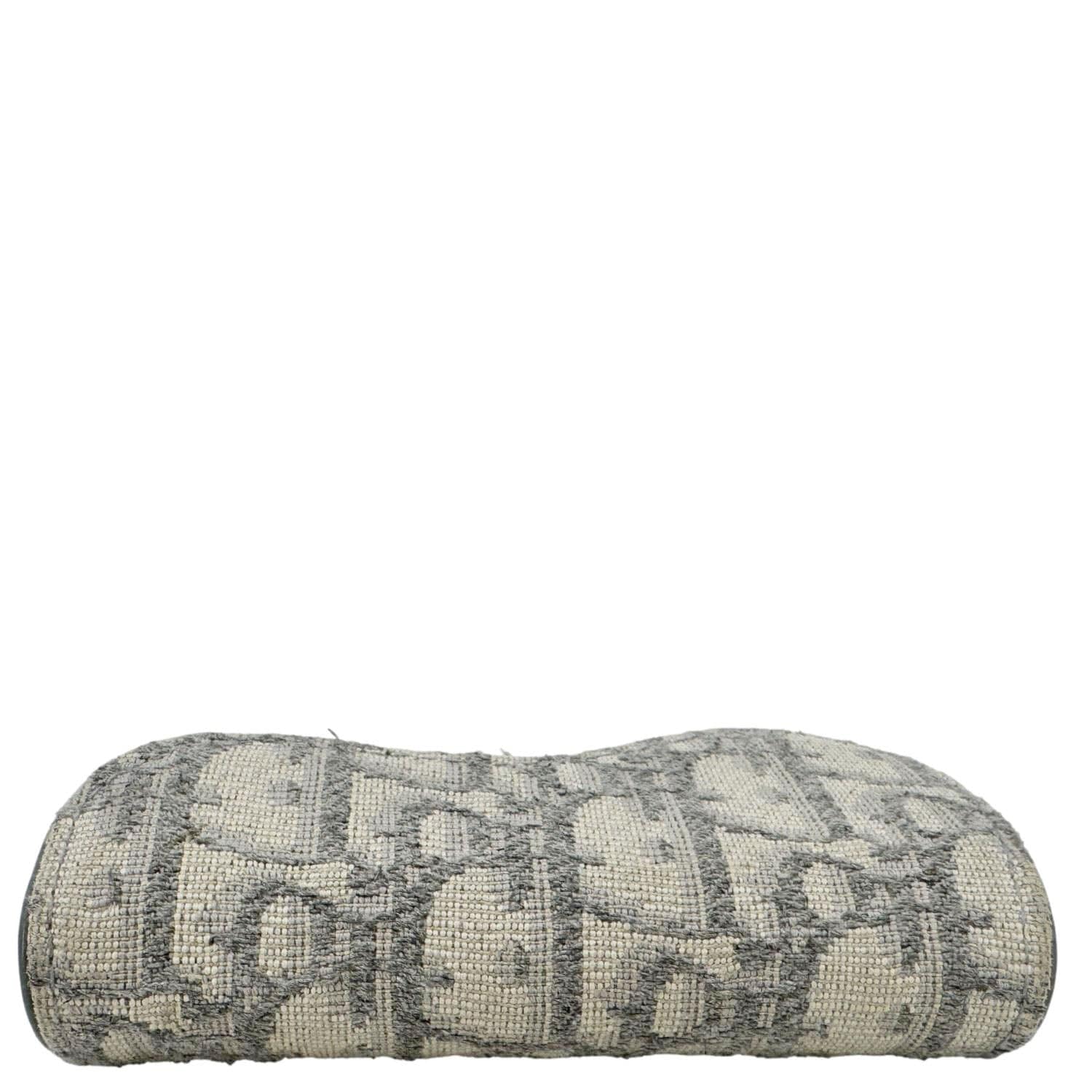 CHRISTIAN DIOR Saddle Oblique Canvas Card Holder Gray