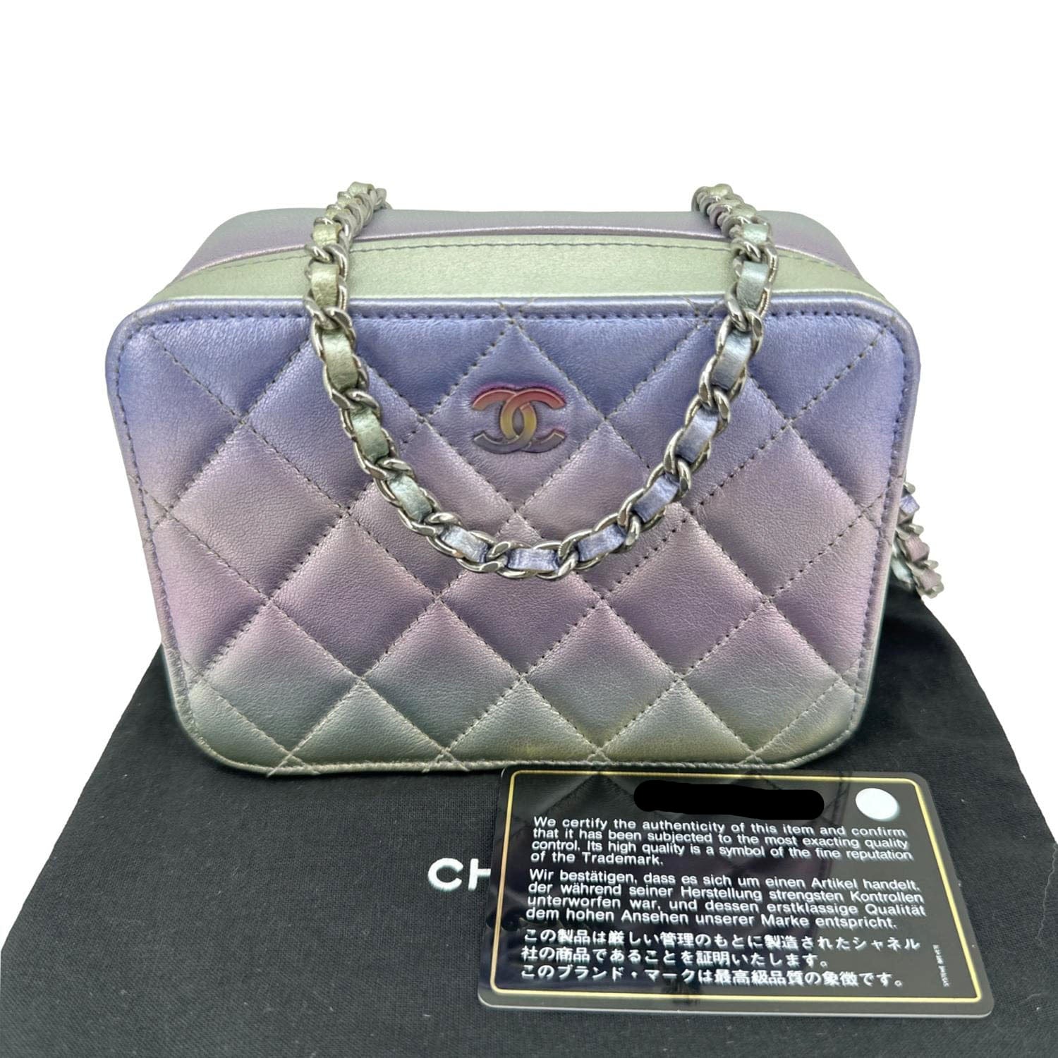 CHANEL Quilted Calfskin Gradient Metallic Leather Camera Bag Multicolor